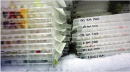 Some of the more than 3,000 drugs at Johns Hopkins.